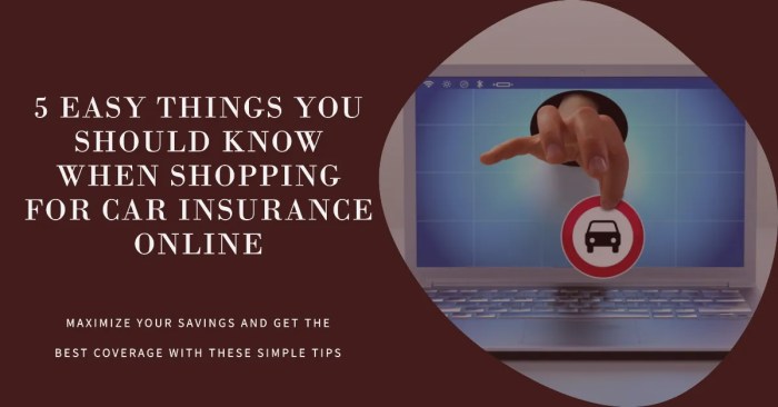 Shopping For Car Insurance Online: 5 Easy Things You Should Know » Mac ...