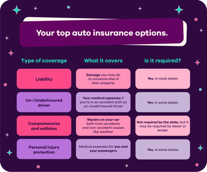 Understanding Car Insurance: A Beginner’s Guide | Arizona Car Sales